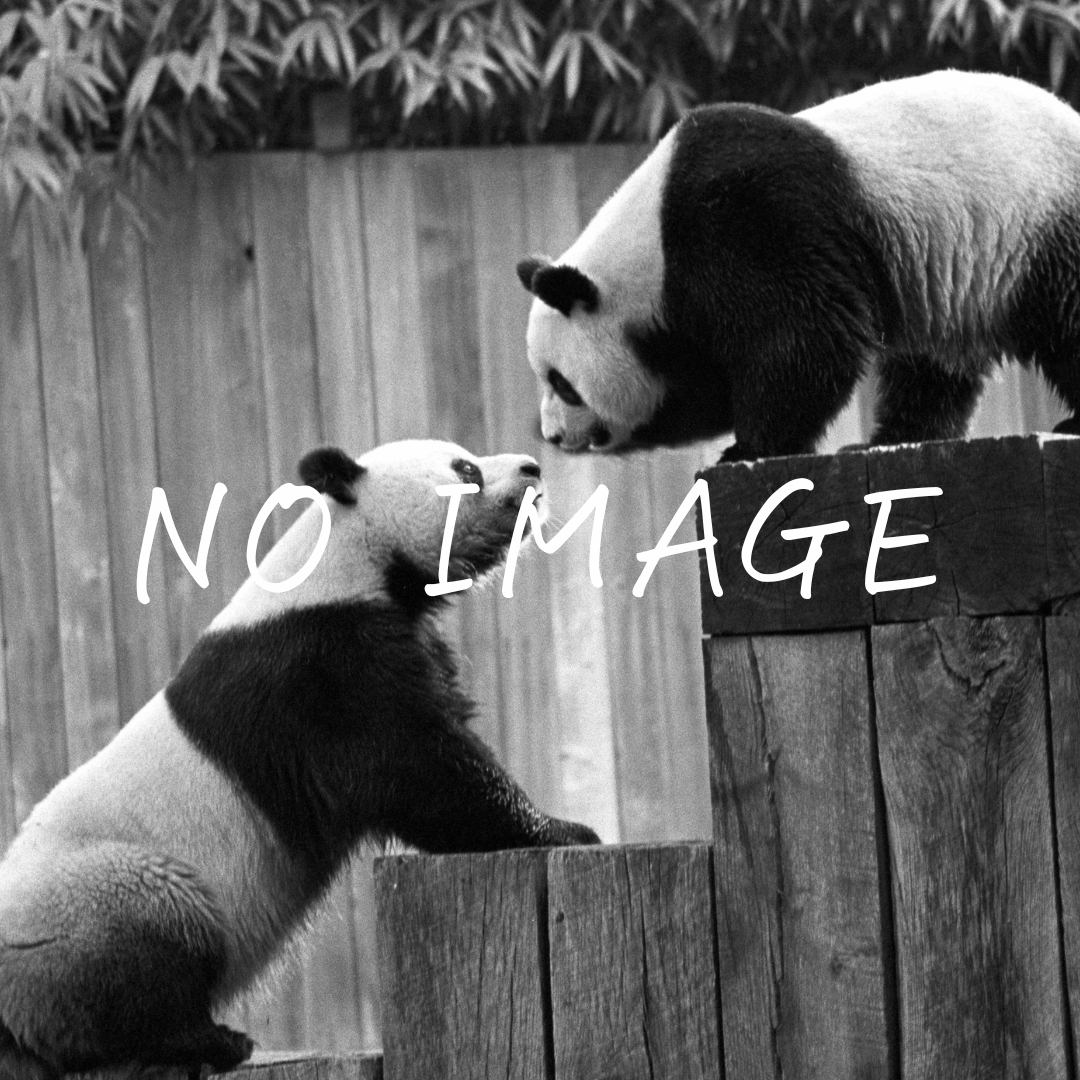 富士見市で高気密高断熱注文住宅なら荒引工務店